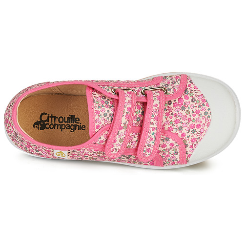 Citrouille et Compagnie - GLASSIA - Rose / Multicolore