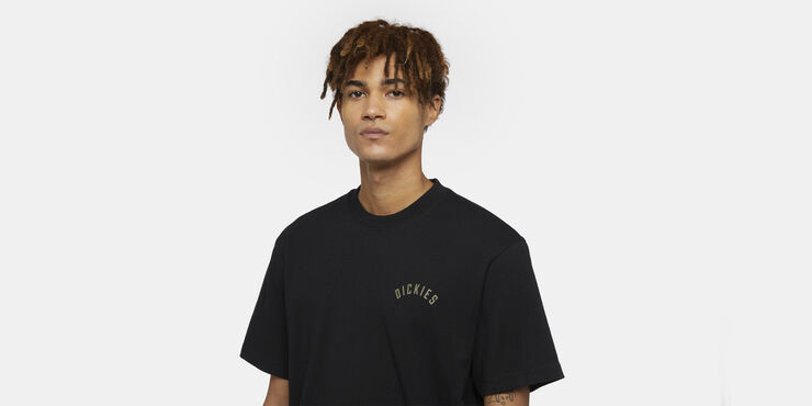 Dickies DICKIES PANTHER TEE SS BLACK Black