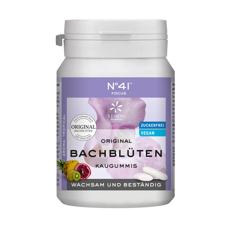 Konzentration Kaugummi nach Dr. Bach, 40 St