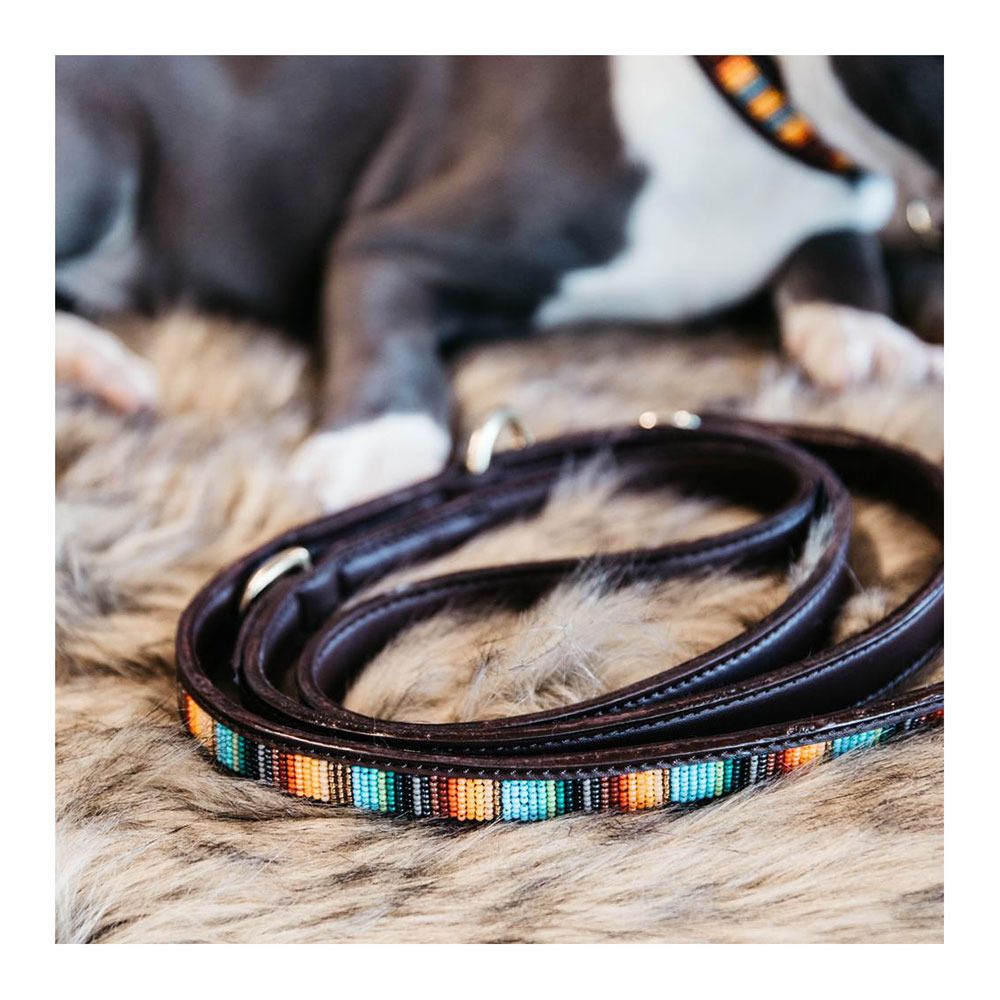 Kentucky PEARLS - Laisse pour chien orange