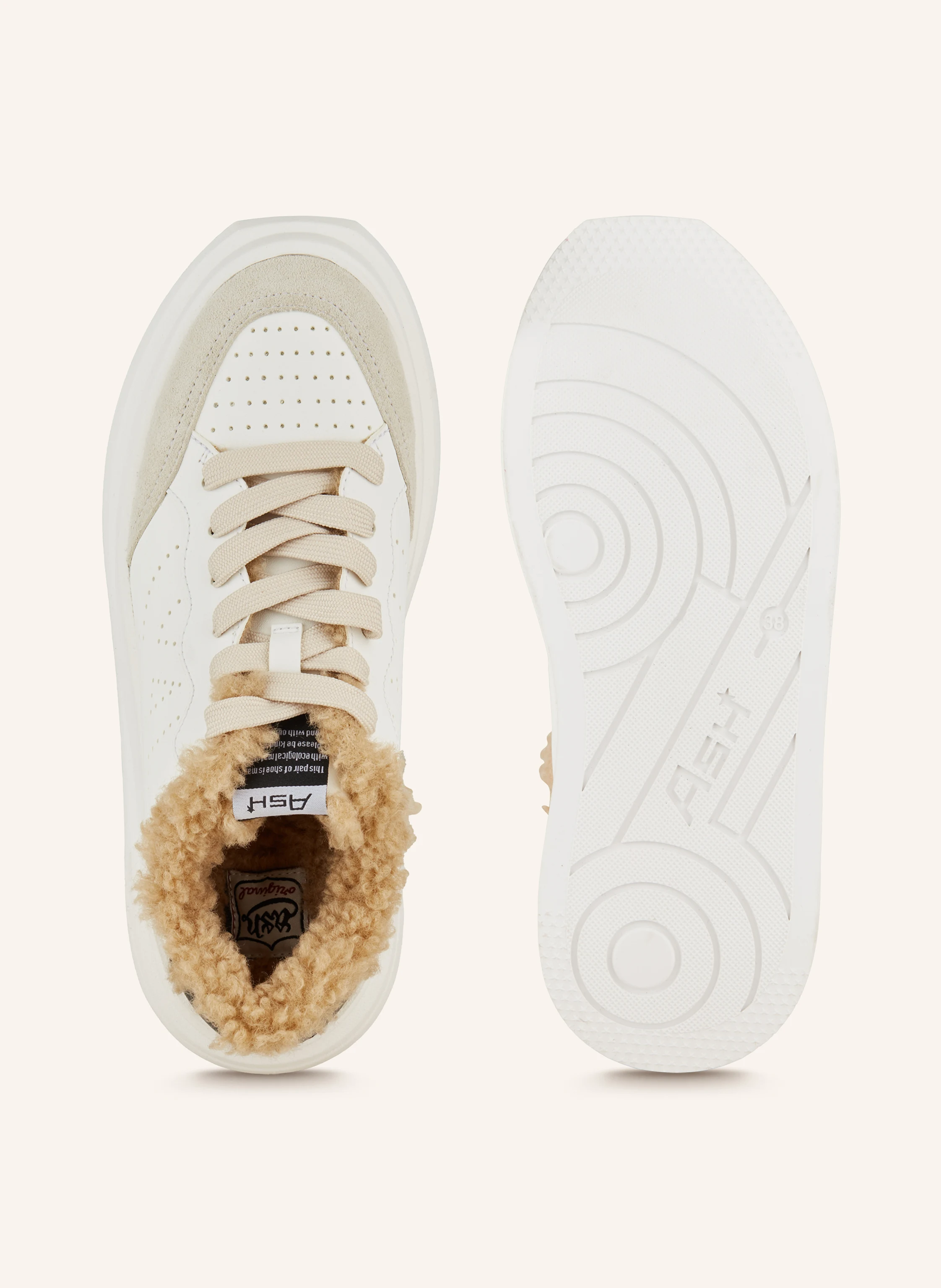 ash Sneaker IMPULS