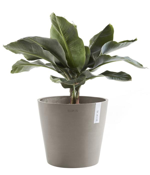 Ecopots Kunststoff-Topf Amsterdam mit