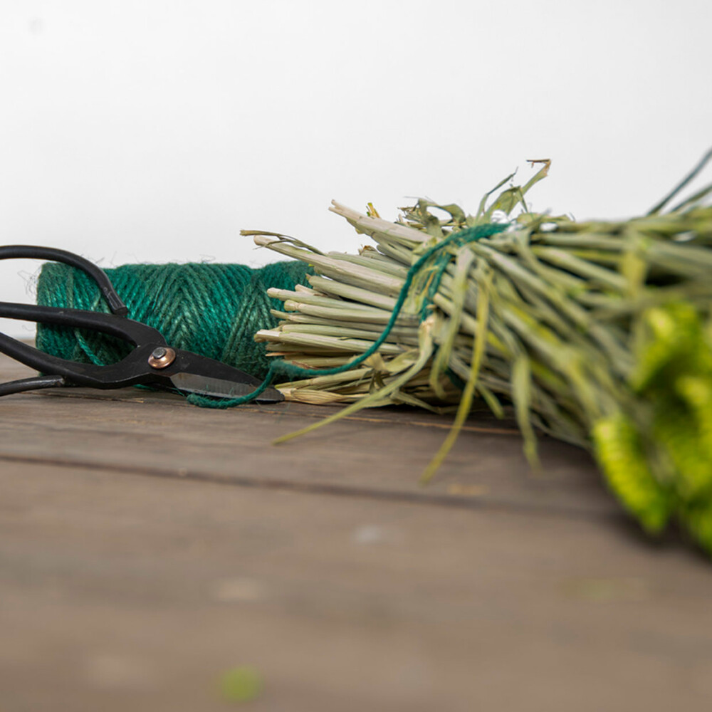 Esschert Design Geschenkset Touw En Schaar Groen