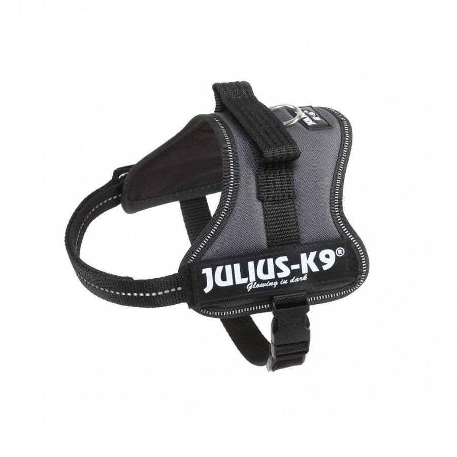 Coleira para cães Julius K9 cinza