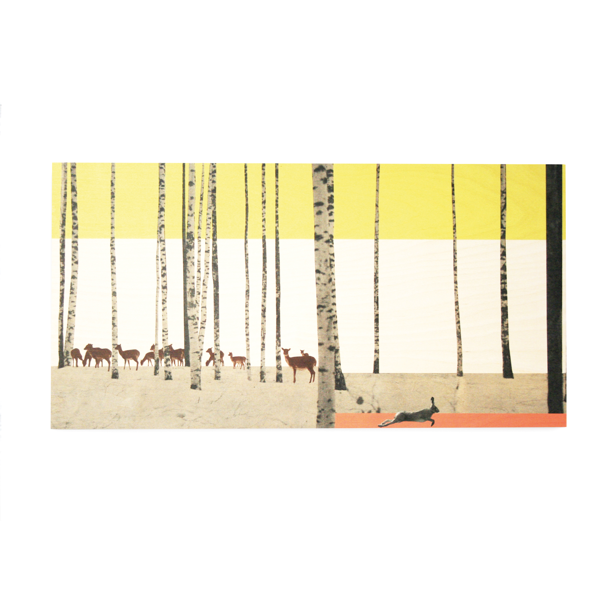 StoryWood Bos 80 x 40 cm