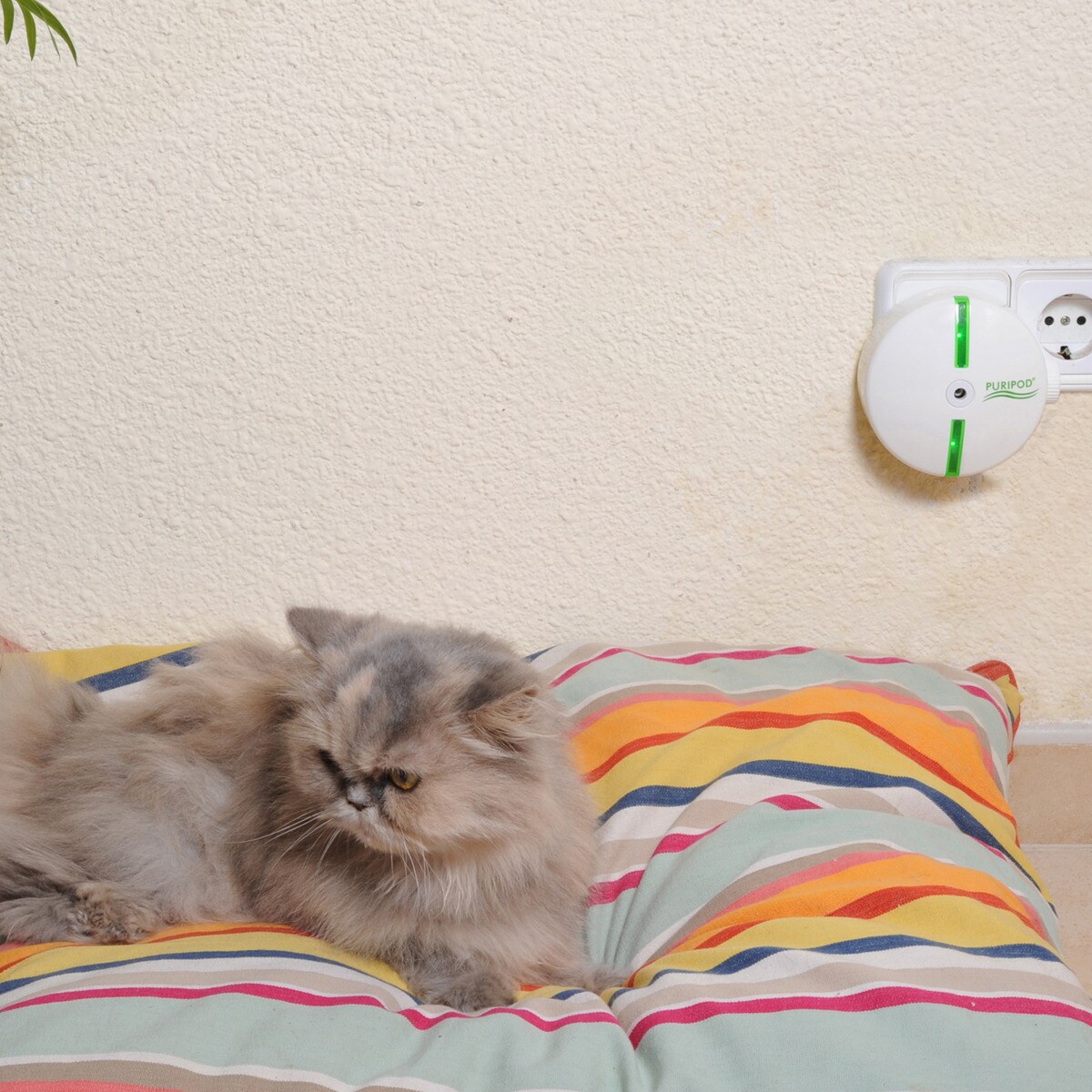 Best Direct® Ionen - Luftreiniger gegen Geruch Puripod