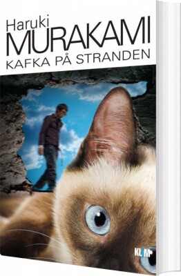 Kafka På Stranden - Haruki Murakami - Bog