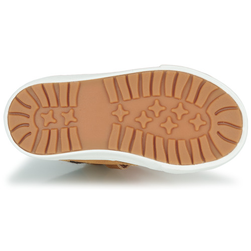 Kangaroos - KAVU PRIMO - Cognac