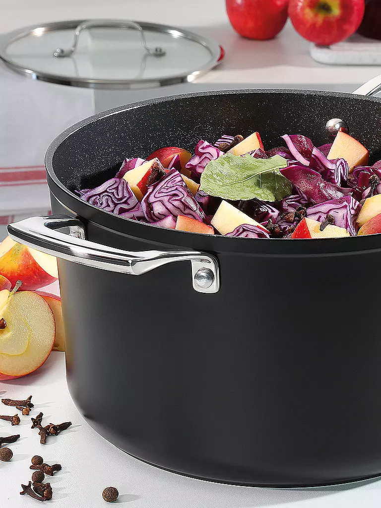 SPRING Bratentopf MERIDIAN Intense Pro 16cm / 1,4 l Antihaft schwarz