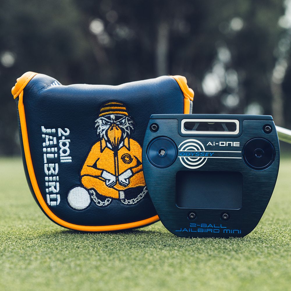 Ai-ONE 2-Ball Jailbird Mini DB Putter