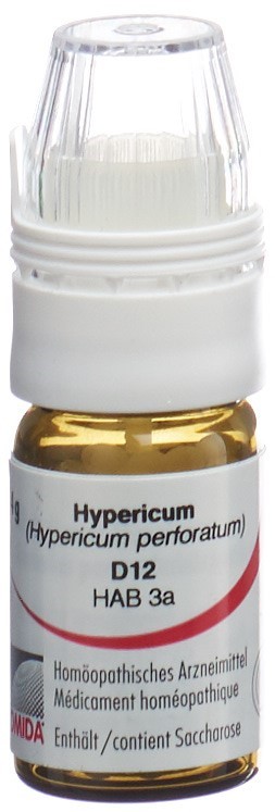 Omida Hypericum Glob 12 D mit Dosierhilfe 4 g