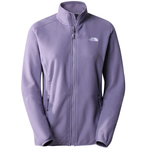 Veste polaire THE NORTH FACE W 100 GLACIER FULL ZIP LUNAR SLATE