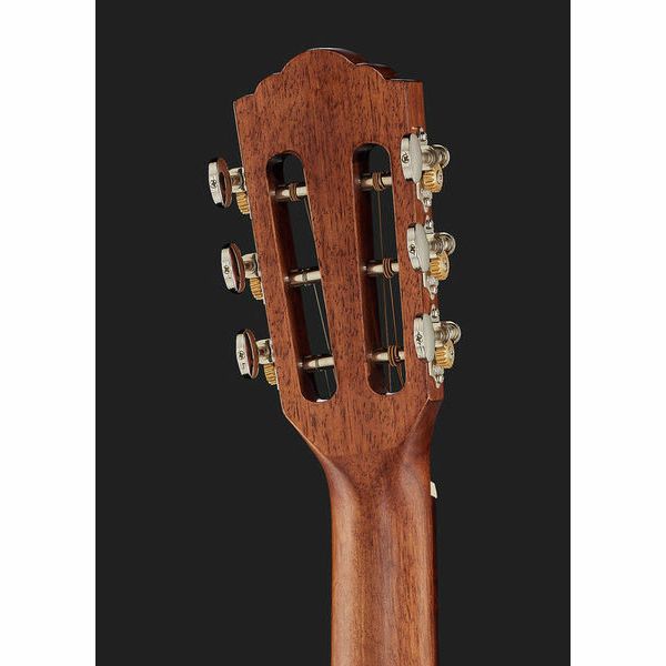 Guild P-240 Memoir Series