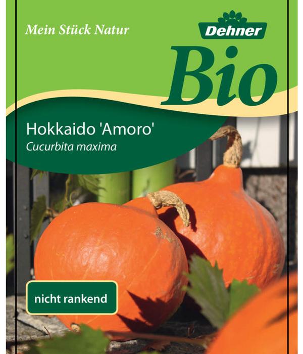 Bio Speisekürbis 'Hokkaido'