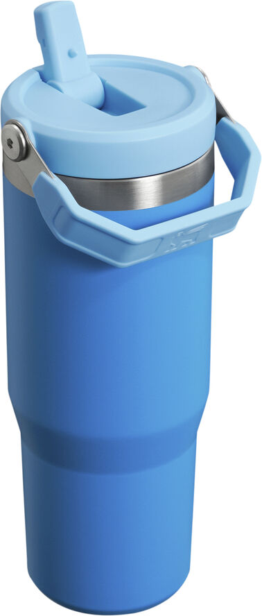 Stanley IceFlow Flip Straw Tumbler 0. 89L