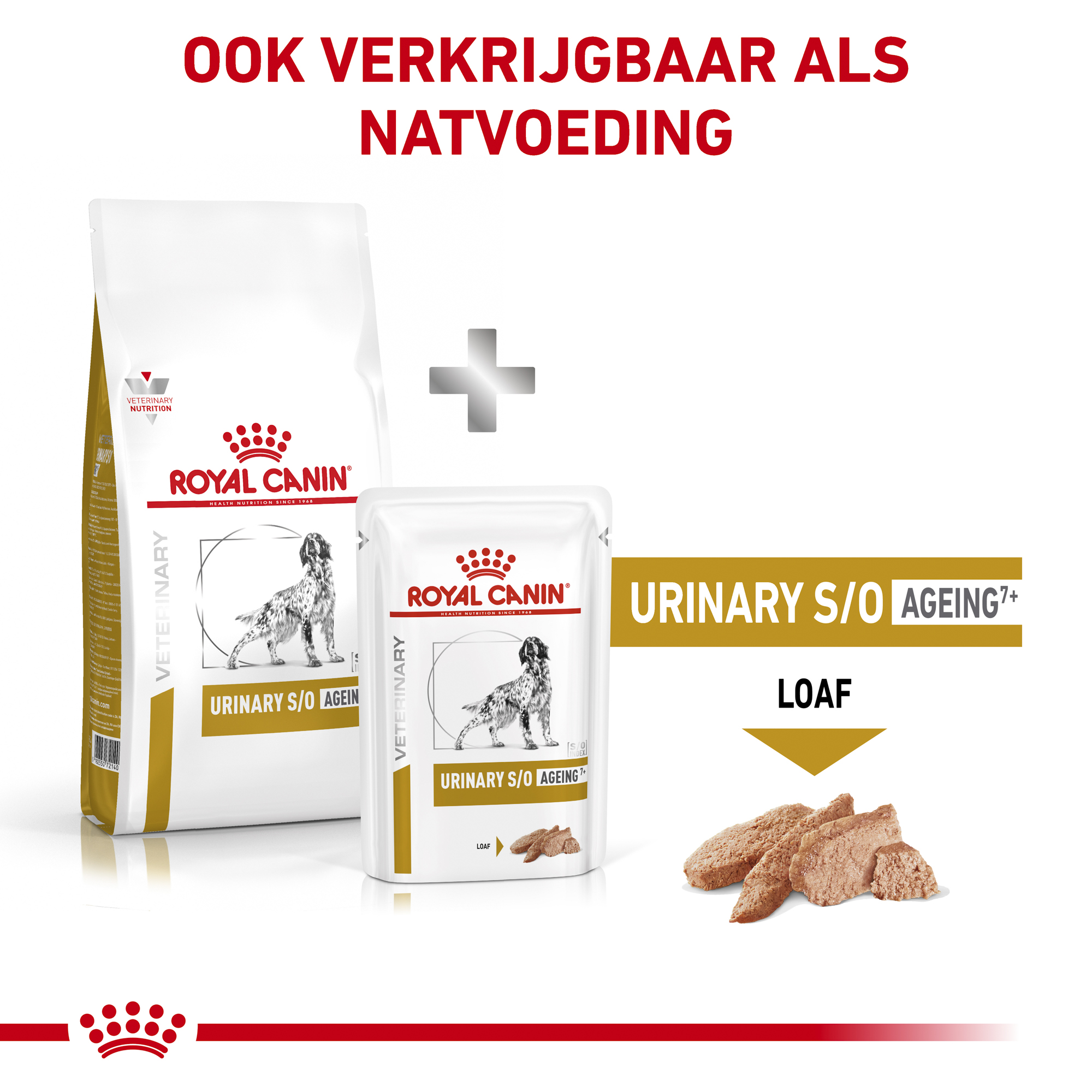 Royal Canin Urinary S/O Ageing 7+ Hond