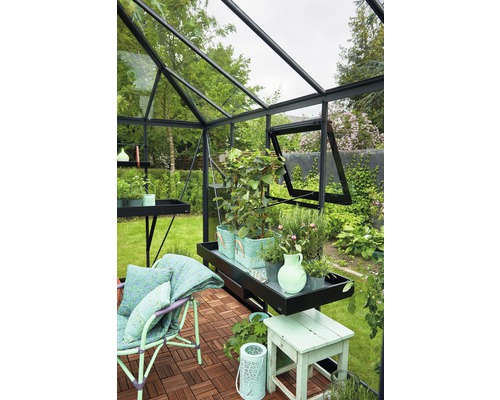 JULIANA Oasis kas, 3 mm veiligheidsglas, 368 x 368 cm, antraciet/zwart