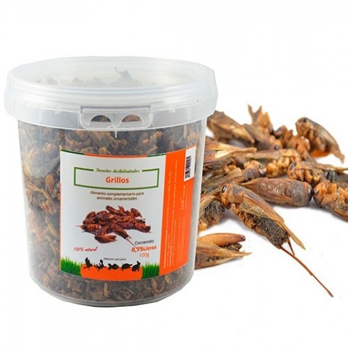 Finca Casarejo insetos secos, grilos para aves