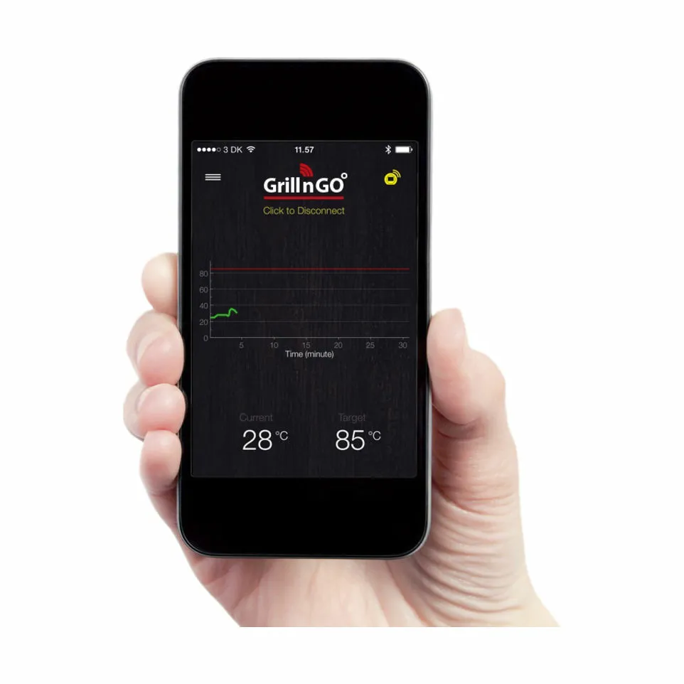 GRILL'N'GO One 2.0 Stegetermometer
