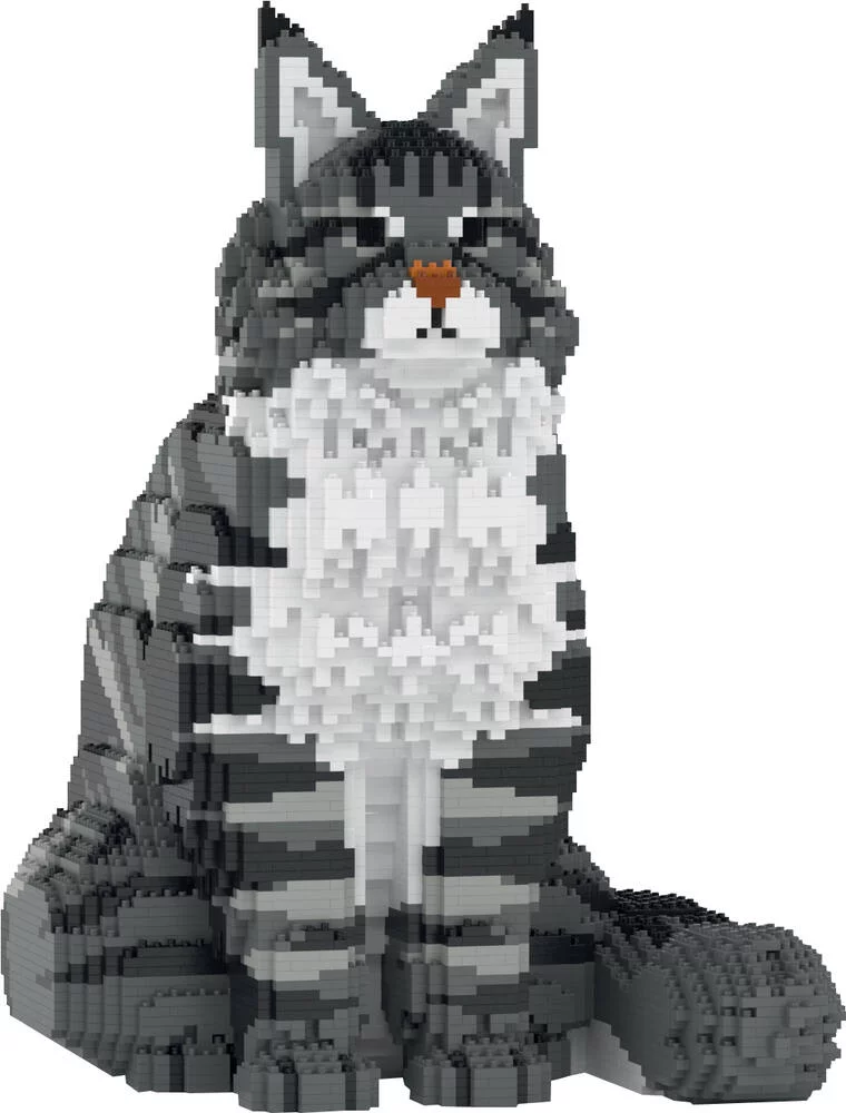 JECKA BLOCS DE CONSTRUCTION -CHAT MAINE COON GRIS ASSIS