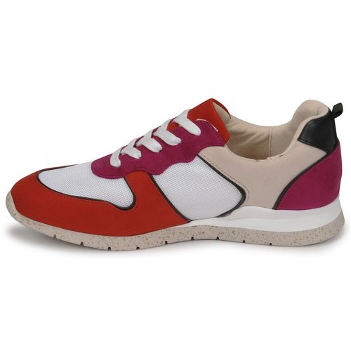 André - ADO - Multicolore