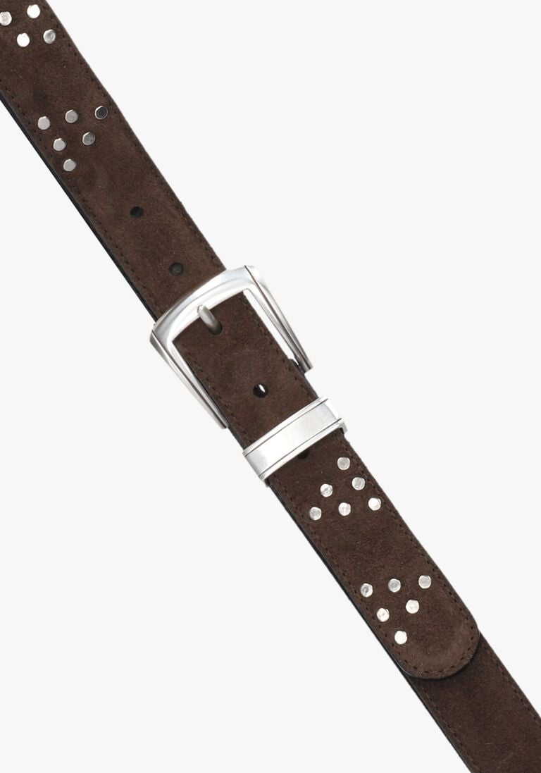 bruine h.a.n. riem bibi