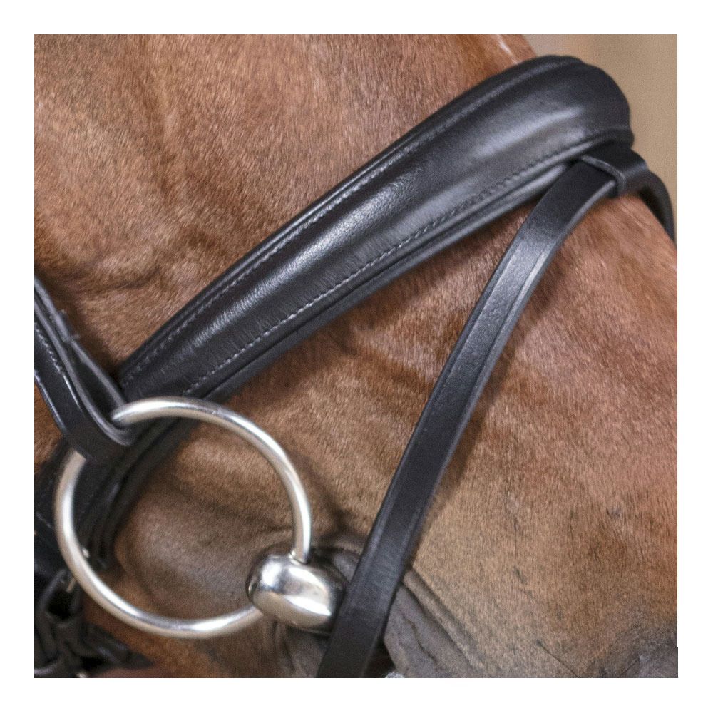 Norton VAGUE - Bridon noir