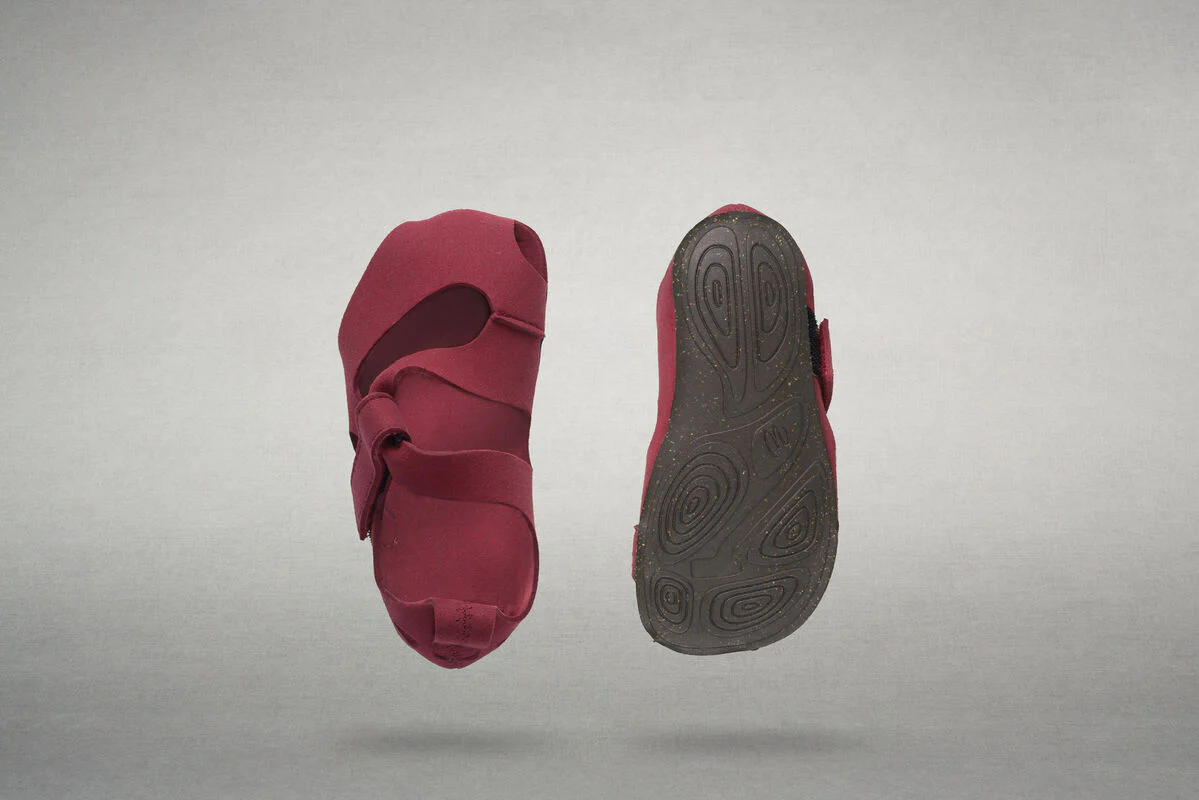 Feder fuchsia