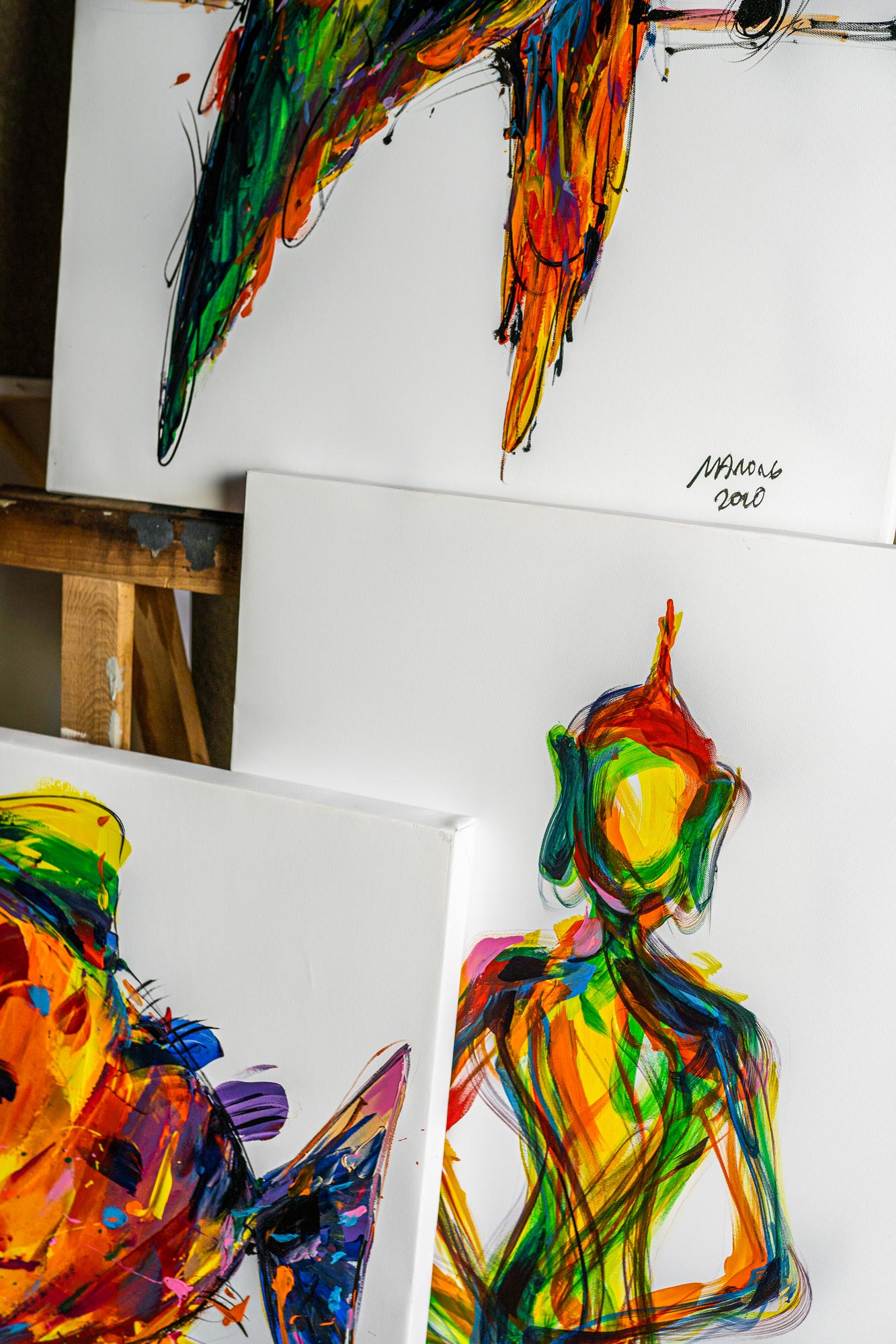 Wandbild 'Tukan', multicolor, B 80 cm, H 60 cm, T 2,5 cm von fischer's lagerhaus