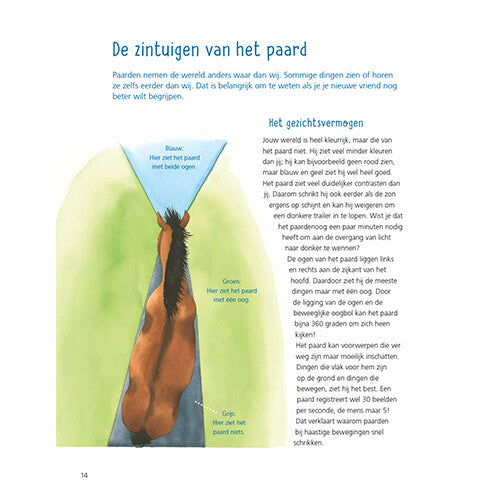 Uitgeverij kluitman alles over paarden