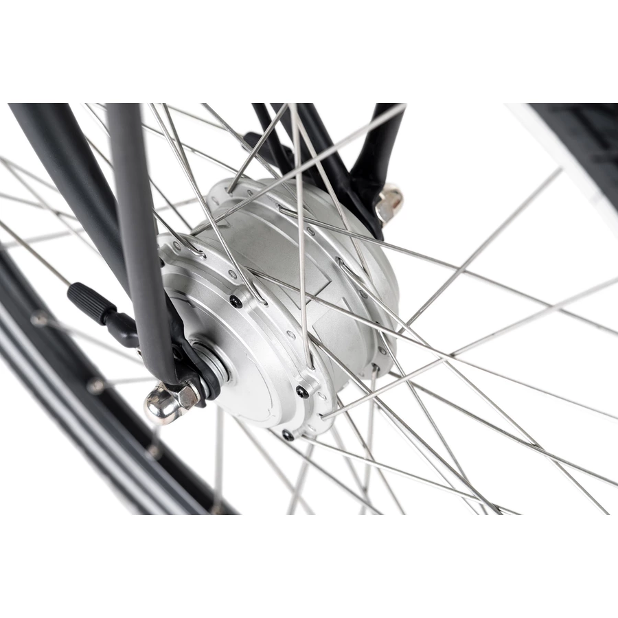 Adore E-Citybike 28'' Adore Cantaloupe Schwarz