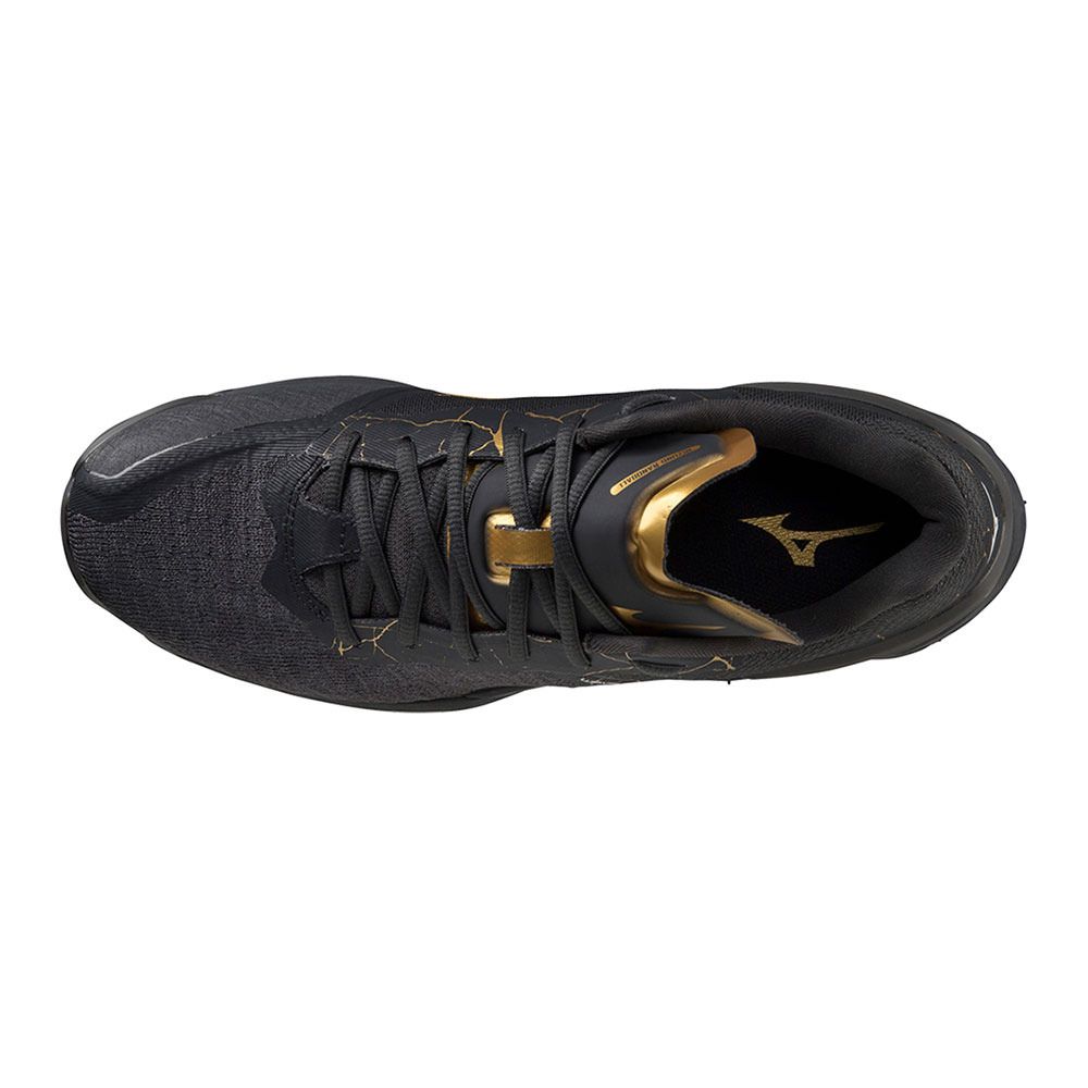 Mizuno WAVE STEALTH NEO - Chaussures handball Homme black oyster/mp gold/iron gate