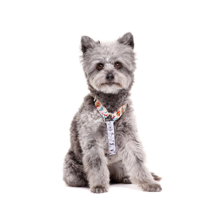 Coleira Dukier Classic Tattoo Print para Cães