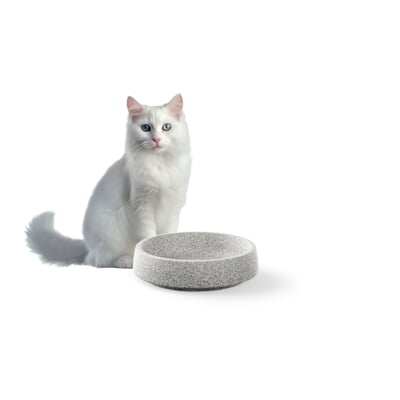 Katzennapf Granitkeramik