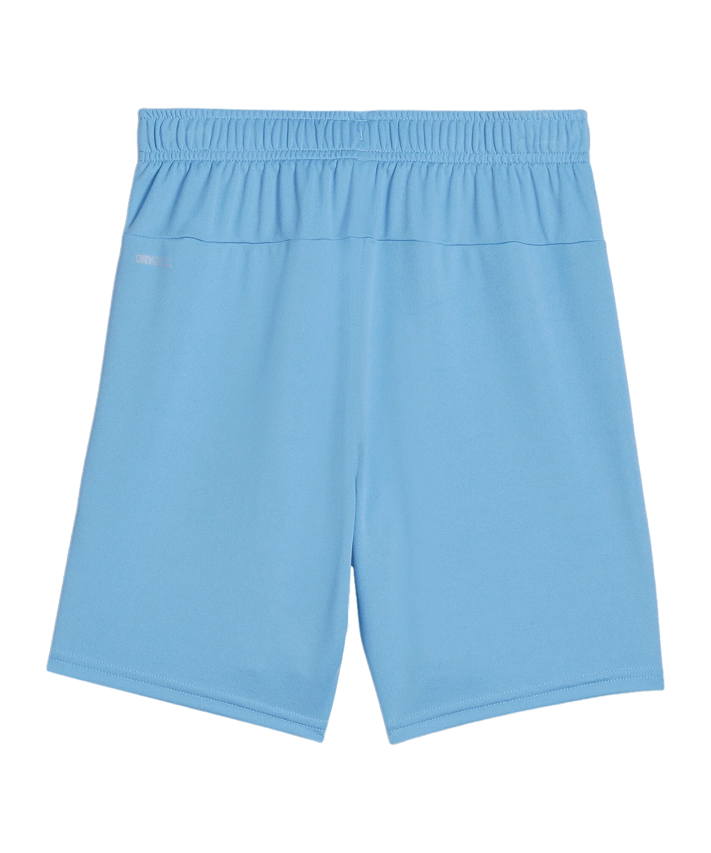 PUMA teamGOAL Short Kids Blau Weiss F18