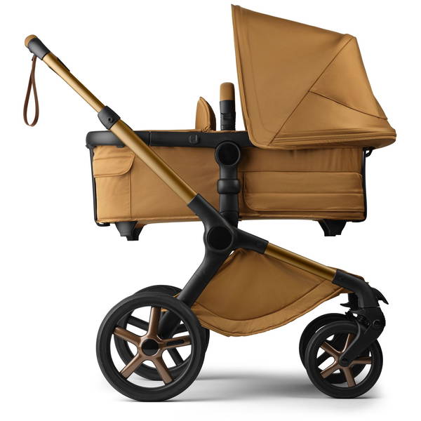 bugaboobugaboo   Fox 5 Noir Limited Edition amber glow
