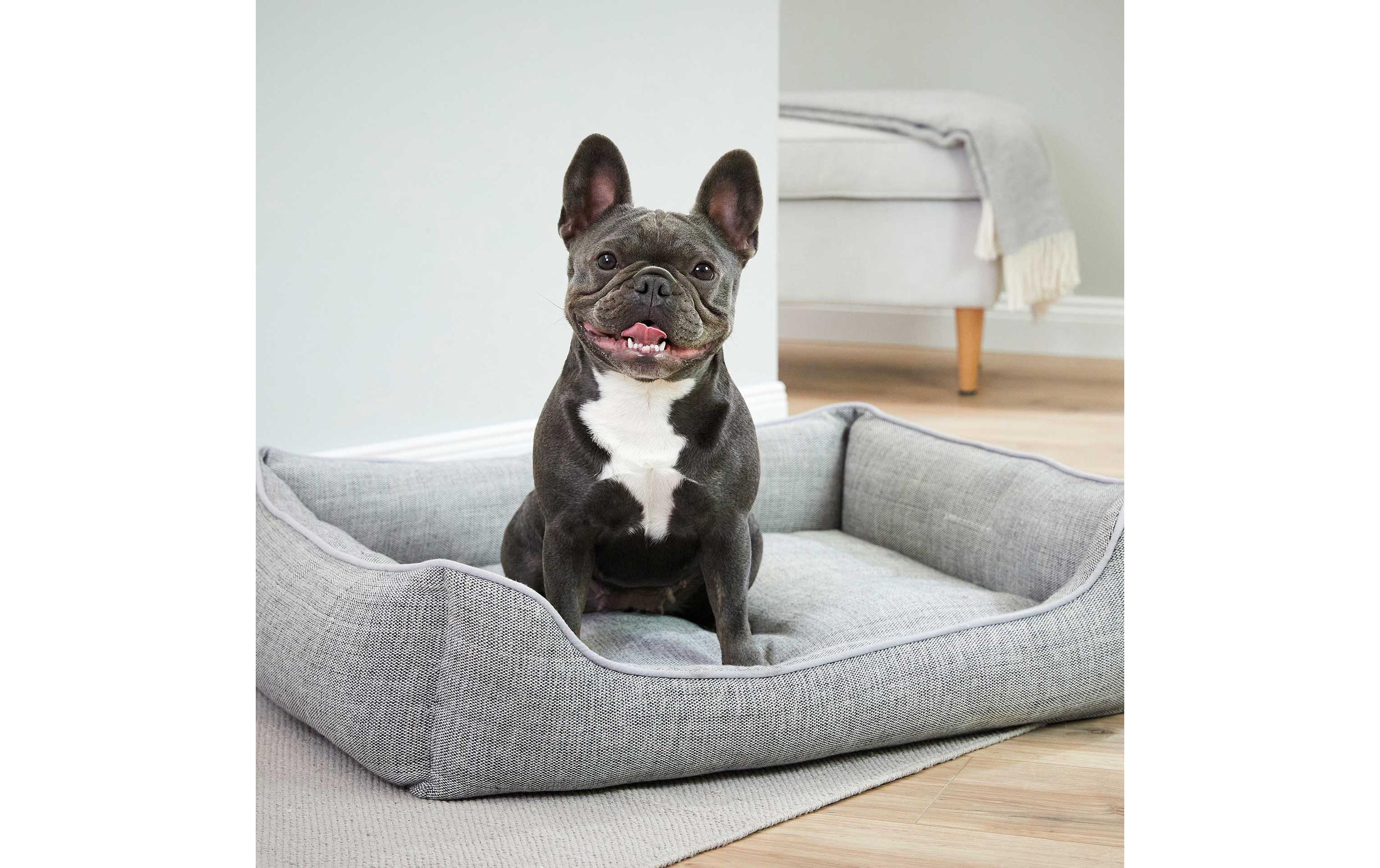 Hunde-Bett Recycling LoungeLiegeplatz für Hunde – XL
