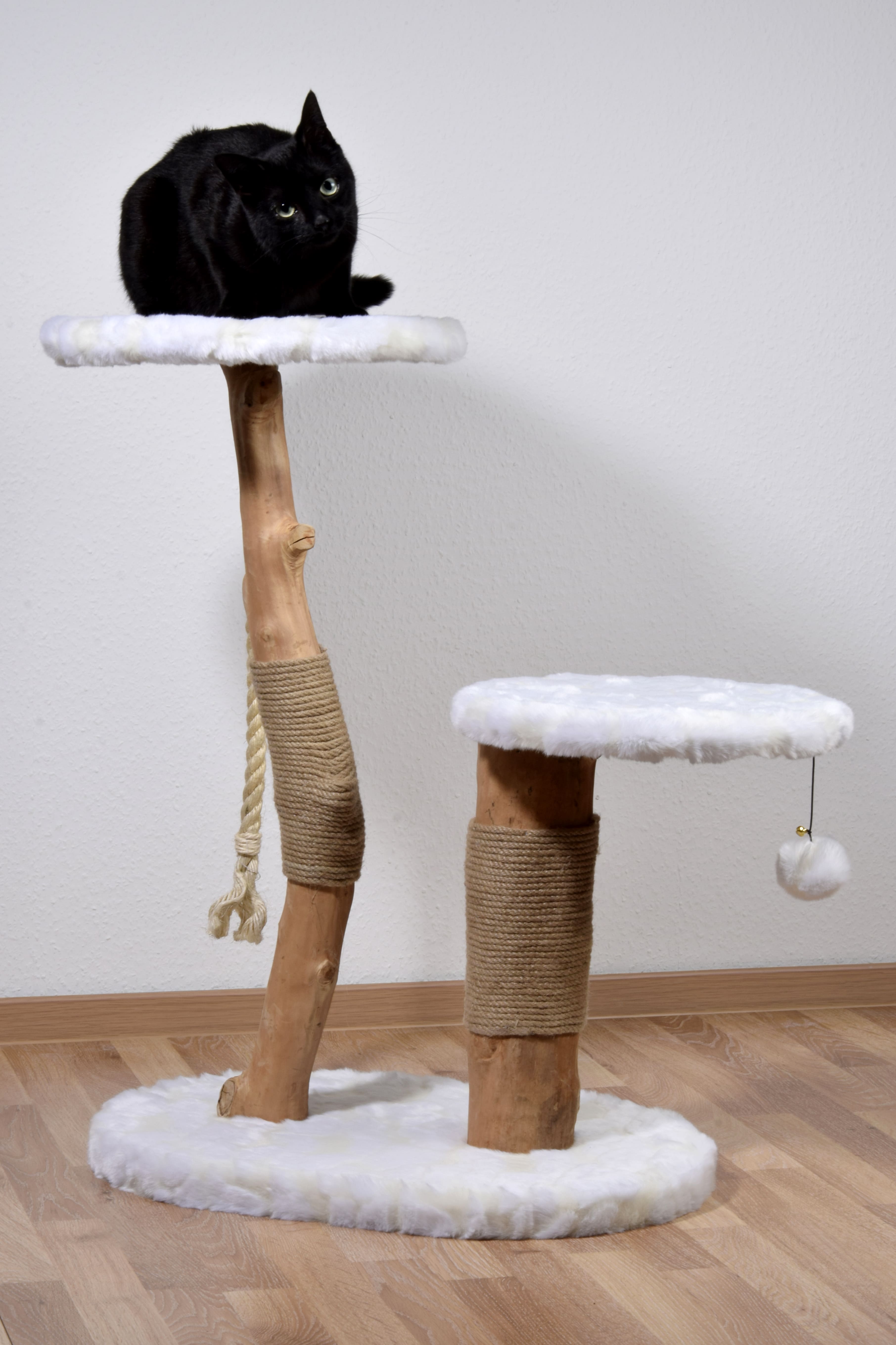 Design-Katzenmöbel 