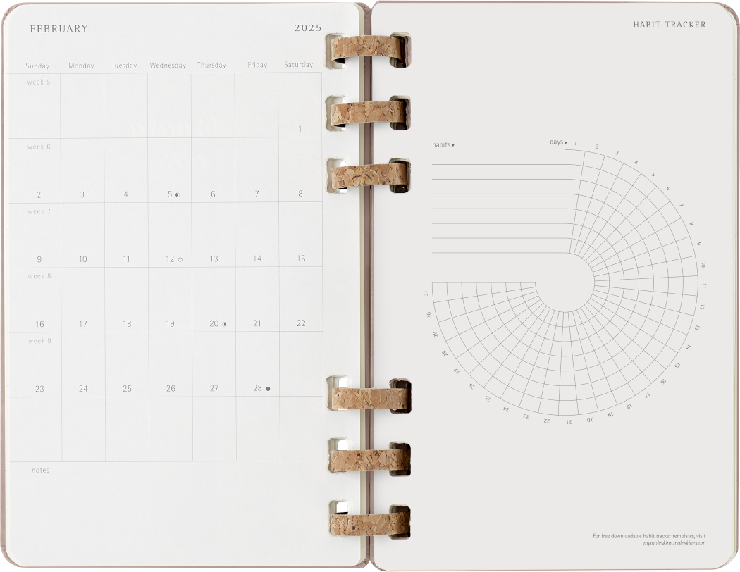 Life Planner 2025 L 12-Month, Spiral