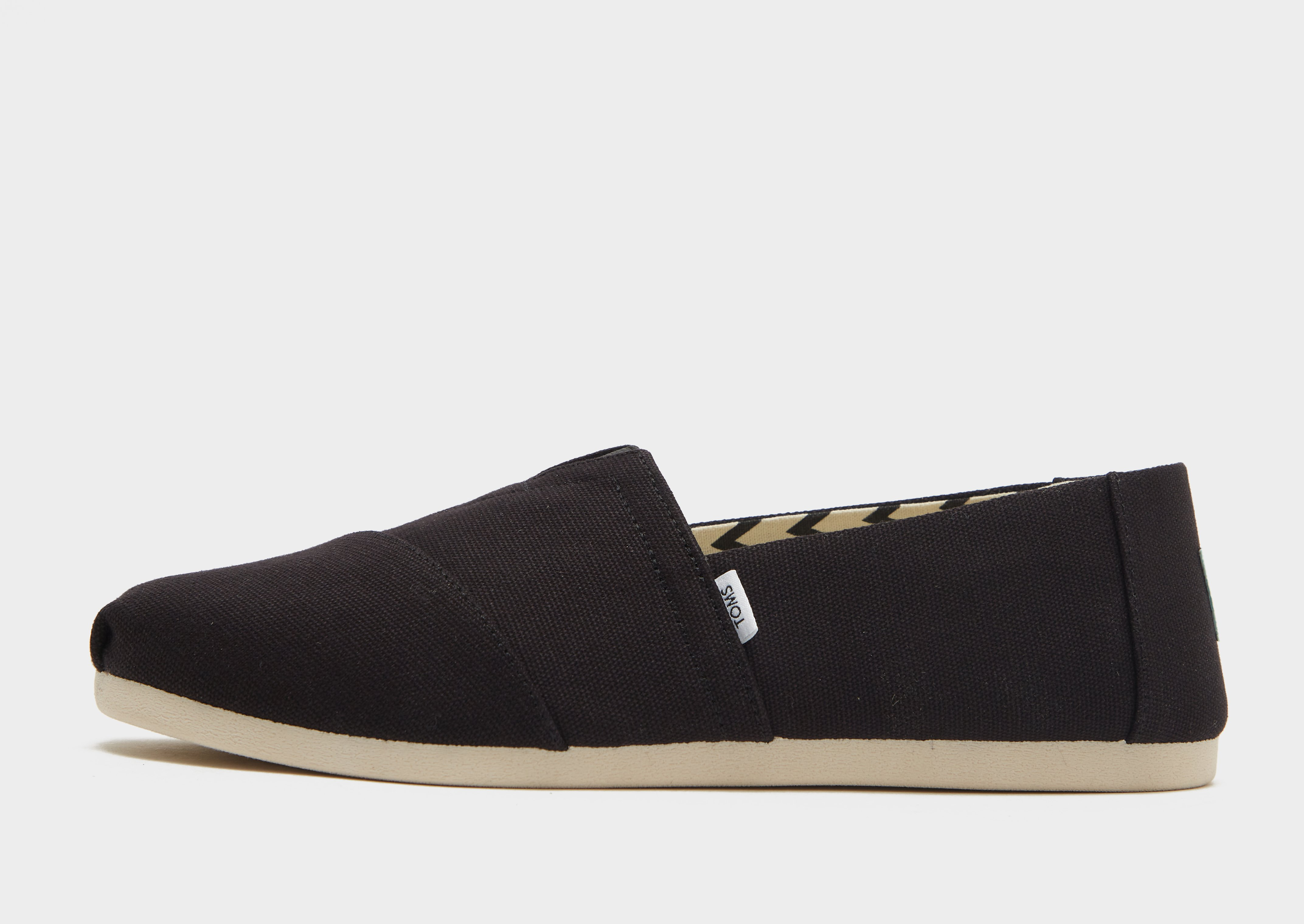 TOMS Alpargata Homme