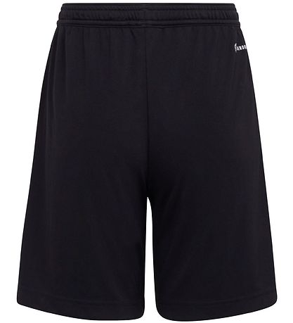adidas Performance Shorts - ENT22 - Schwarz
