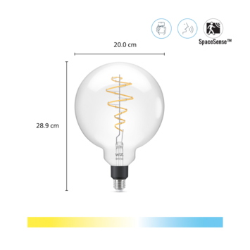 WiZ Connected LED giant globe E27 40W filament helder koel tot warmwit licht dimbaar