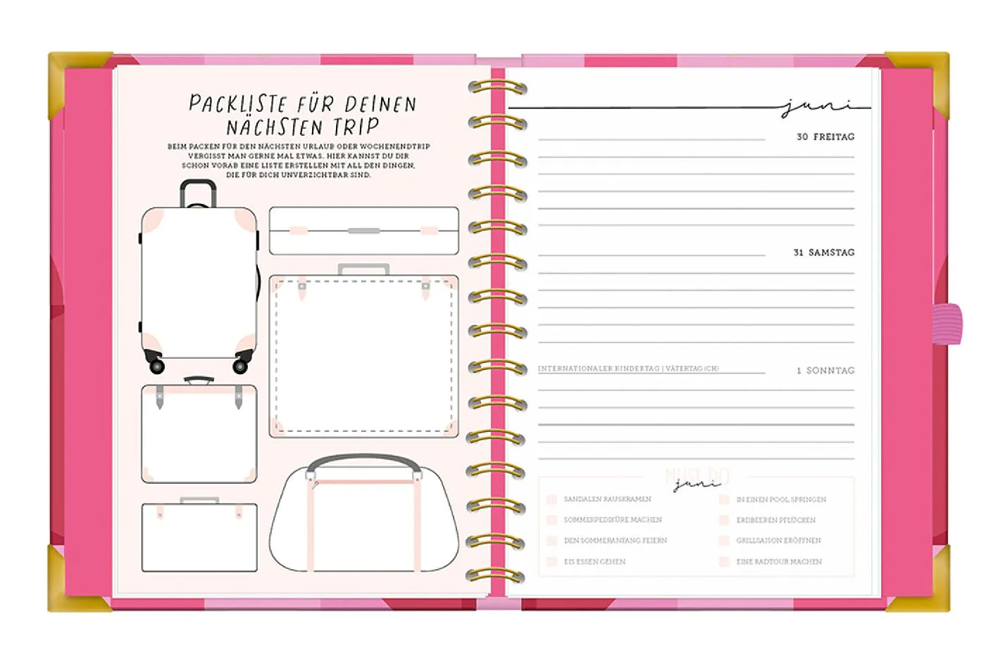 Terminplaner Premium 2025, pink