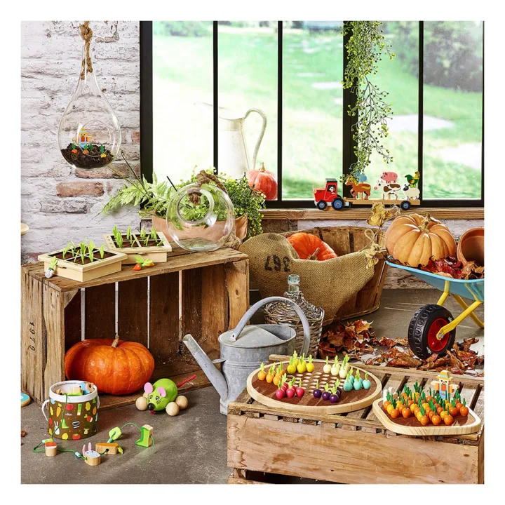 Vilac La traversée du potager