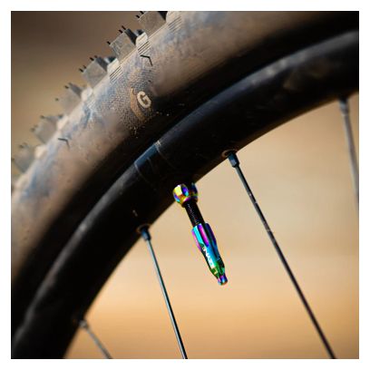 Valves Tubeless Lezyne 44 mm Neo Metallic