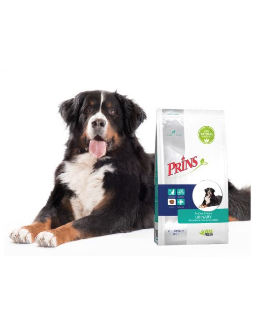 Prins Procare Croque Diet Urinary - Hondenvoer