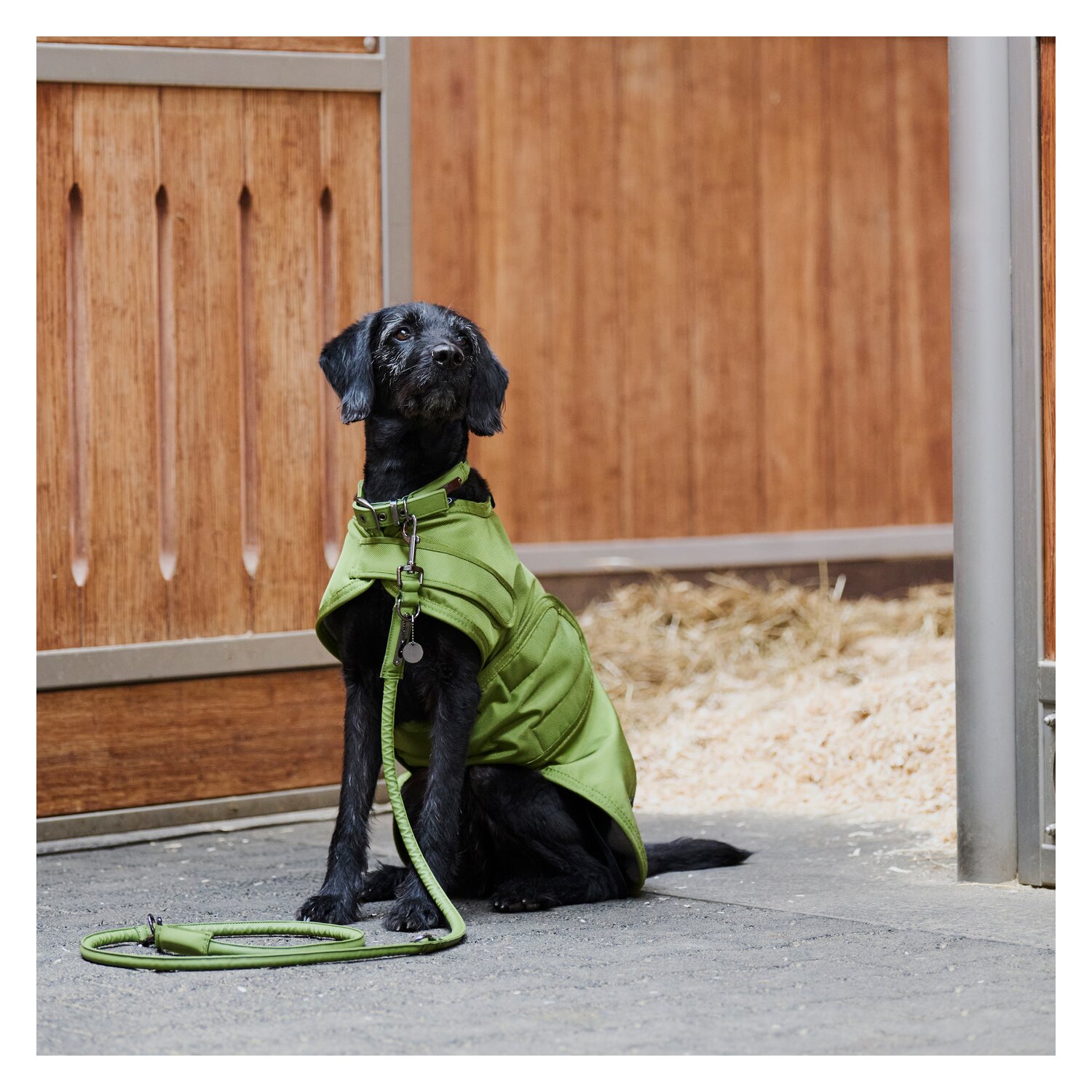 ESKADRON Platinum Hundeset Faux Leather  - moss green
