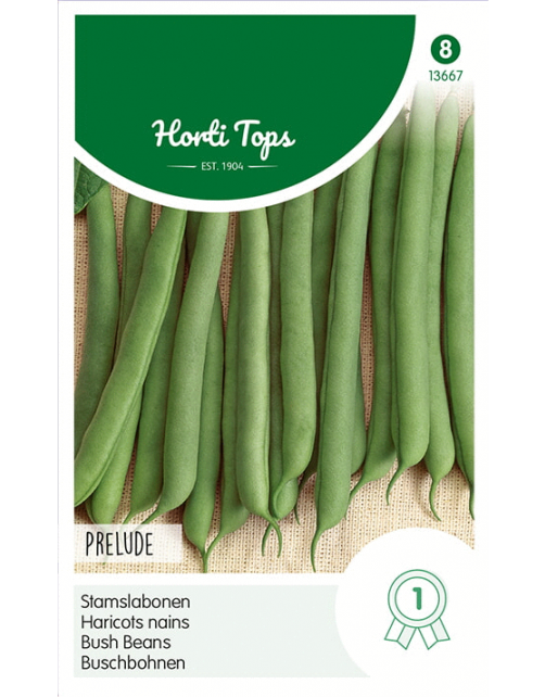 Hortitops Stamslabonen Prelude - Groentezaden - 250 g