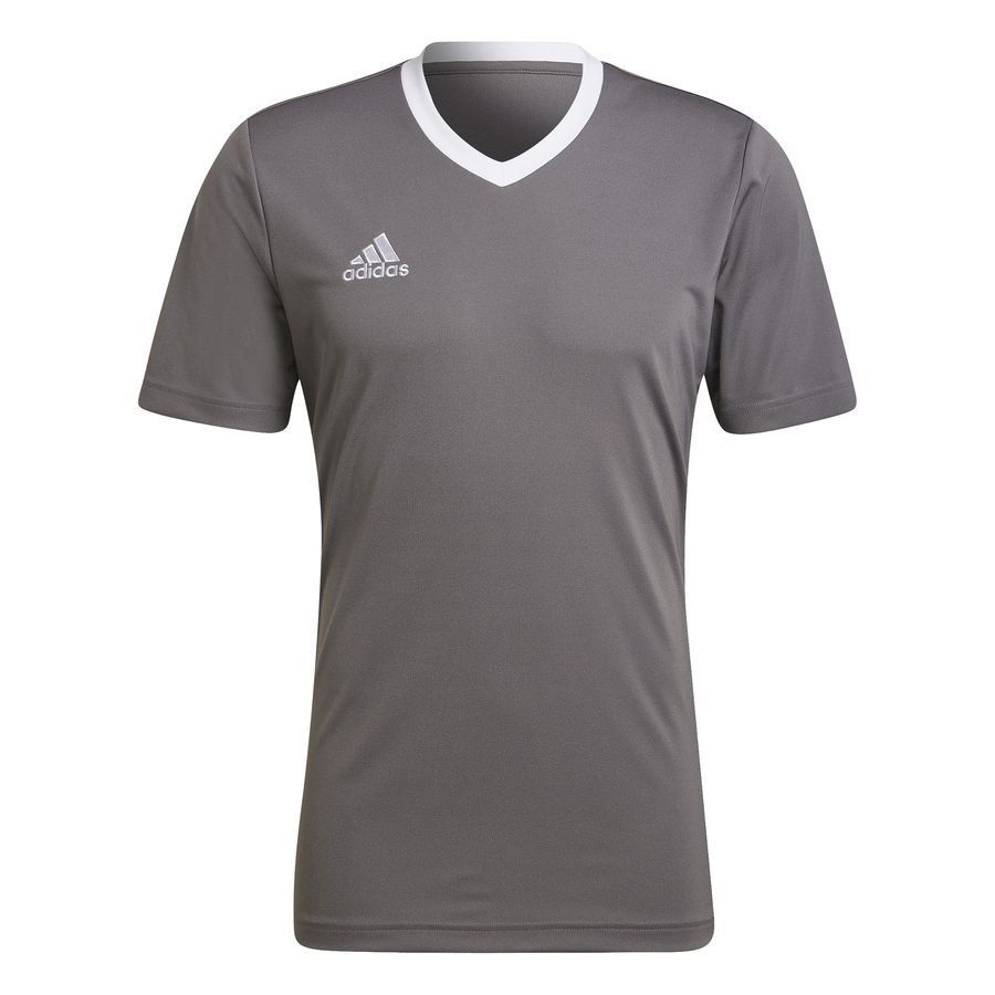 adidas T-shirt d'Entraînement Entrada 22 - Gris/Blanc