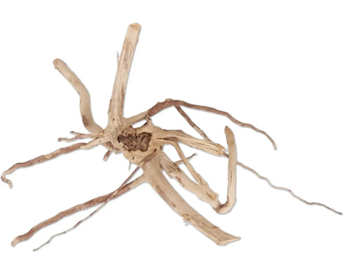 Aquariumdecoratie Moorkienroot L aquariumwortel ca. 30 - 50 cm